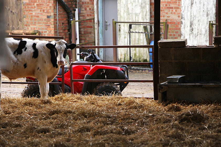 Honda TRX420 FM2 - S PS 2-4wd