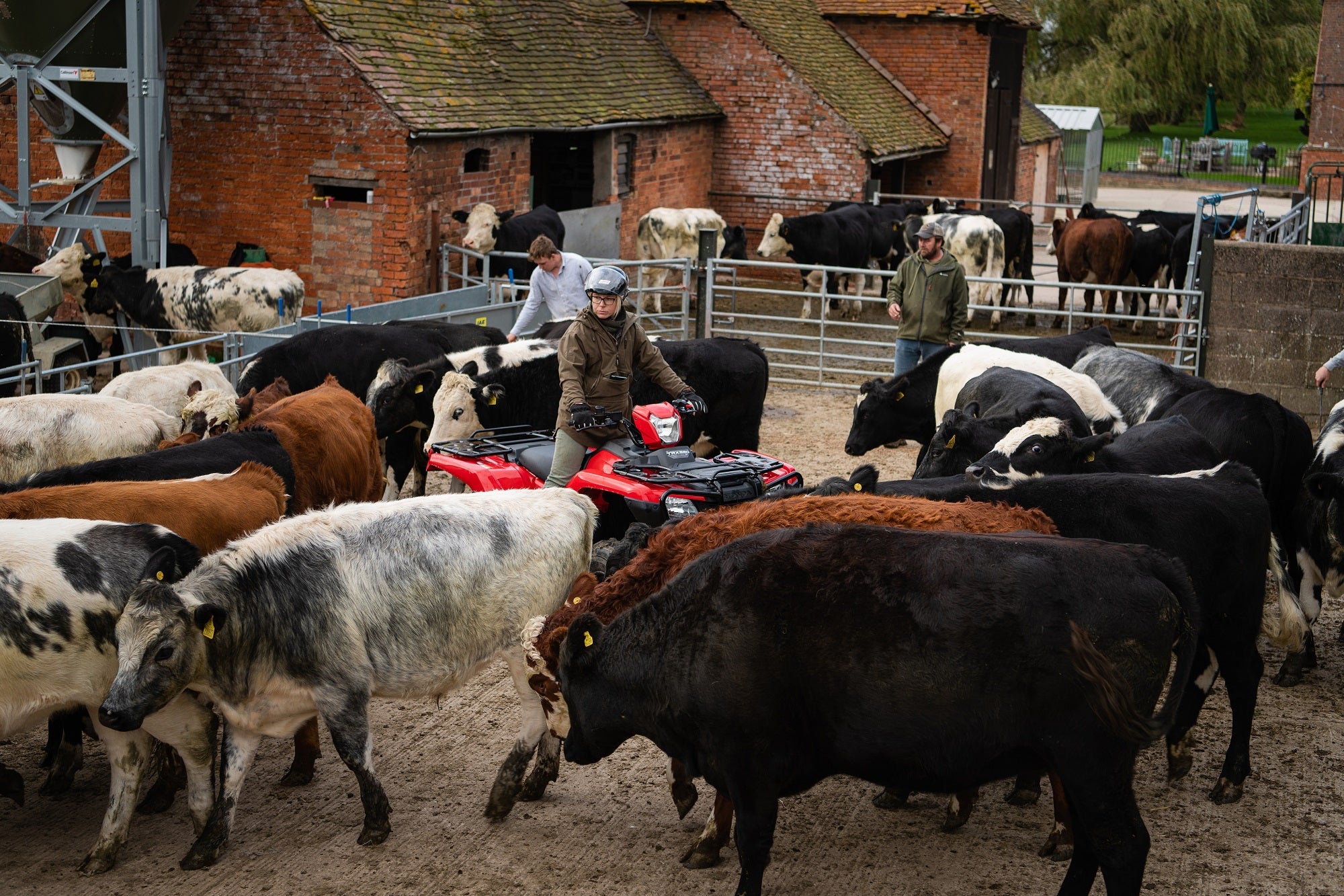 Honda TRX520 FM6 - Foreman S 2-4wd (Independent Rear Suspension) & Power Steering ATV