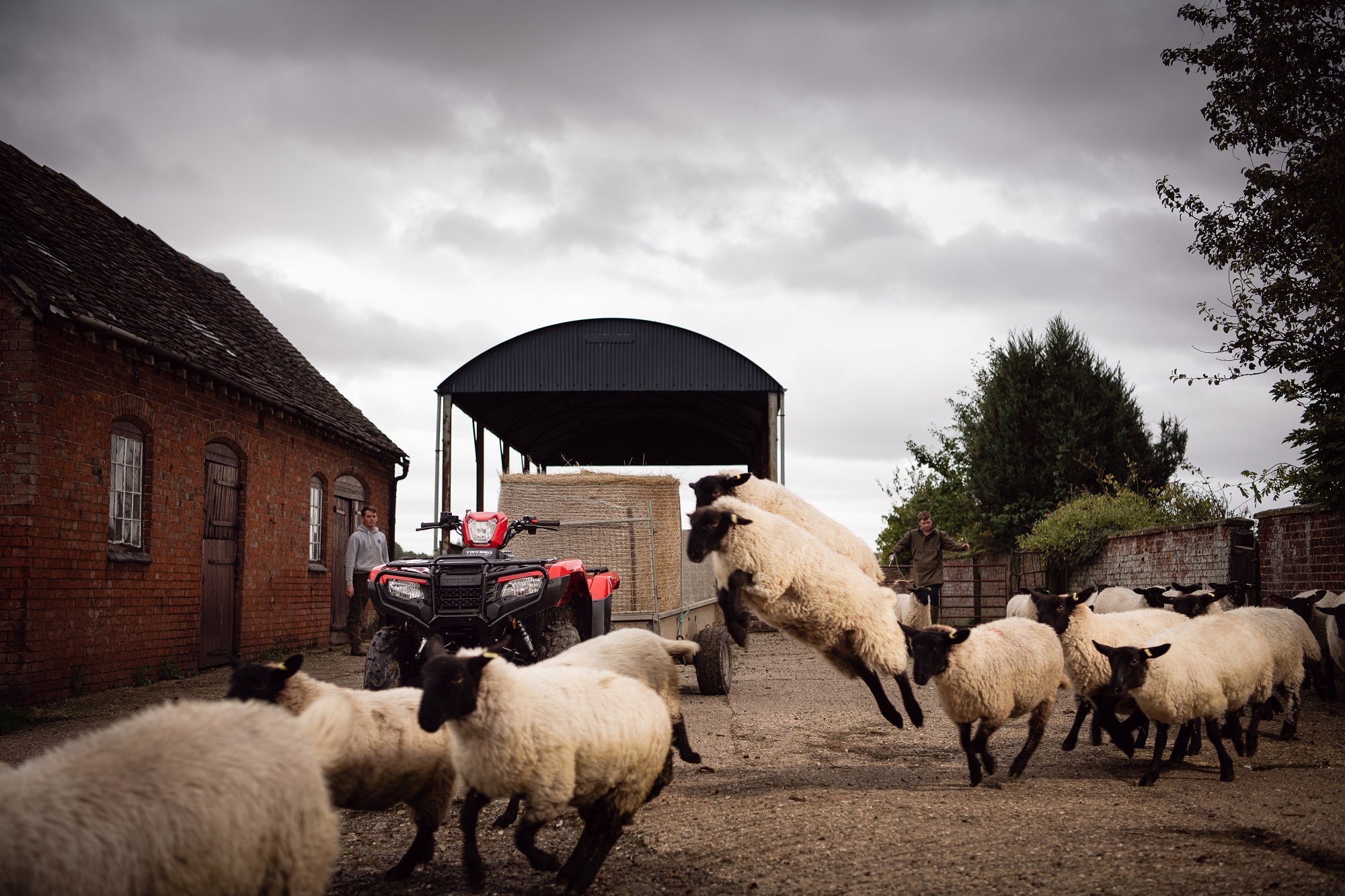 Honda TRX520 FE2 - Foreman ES PS 2-4wd with Power Steering ATV