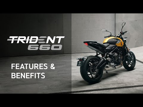 8914-triumph-trident-660