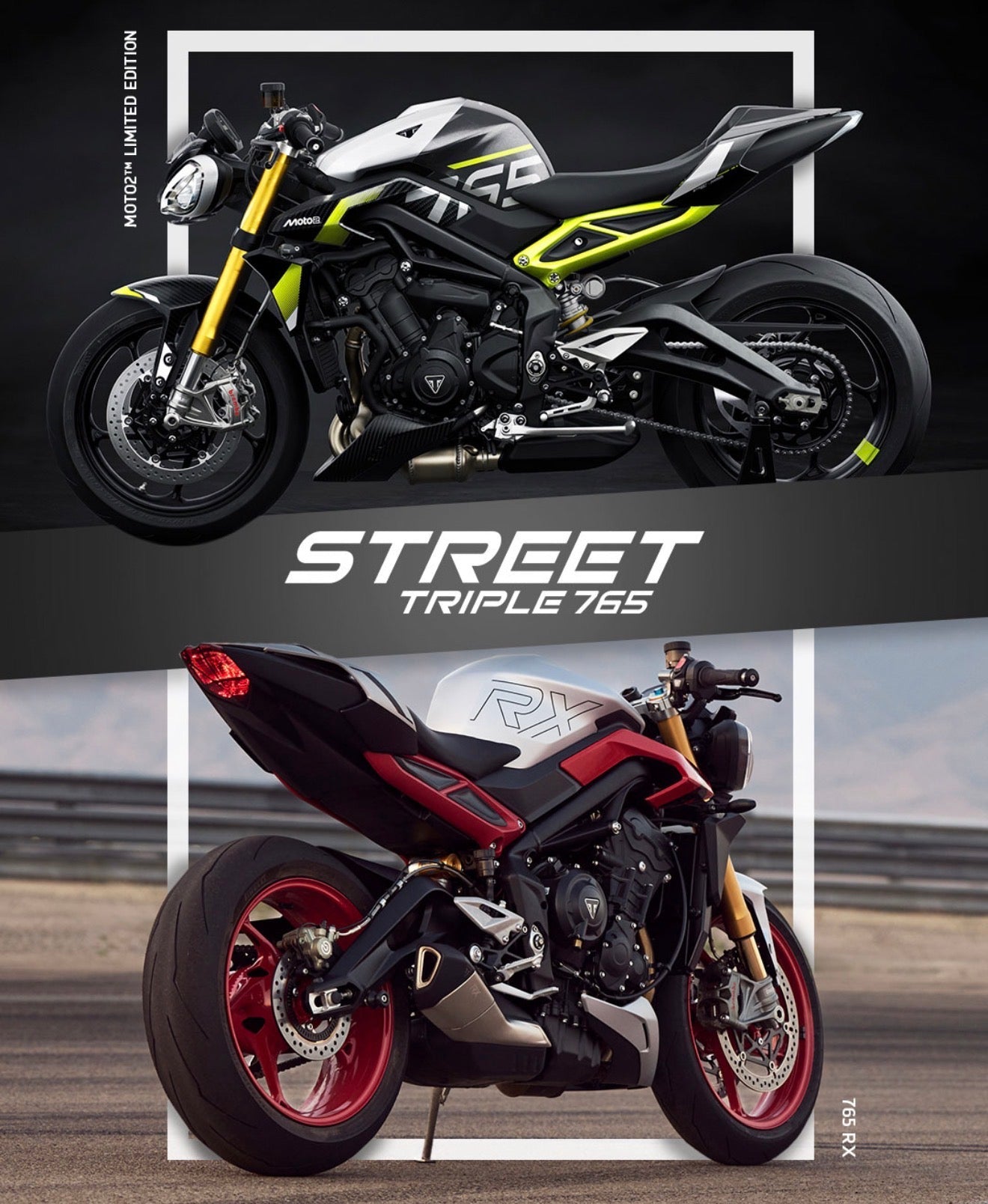 Race-Bred Performance for the Road