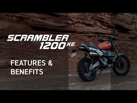 7257-triumph-scrambler-1200-xe