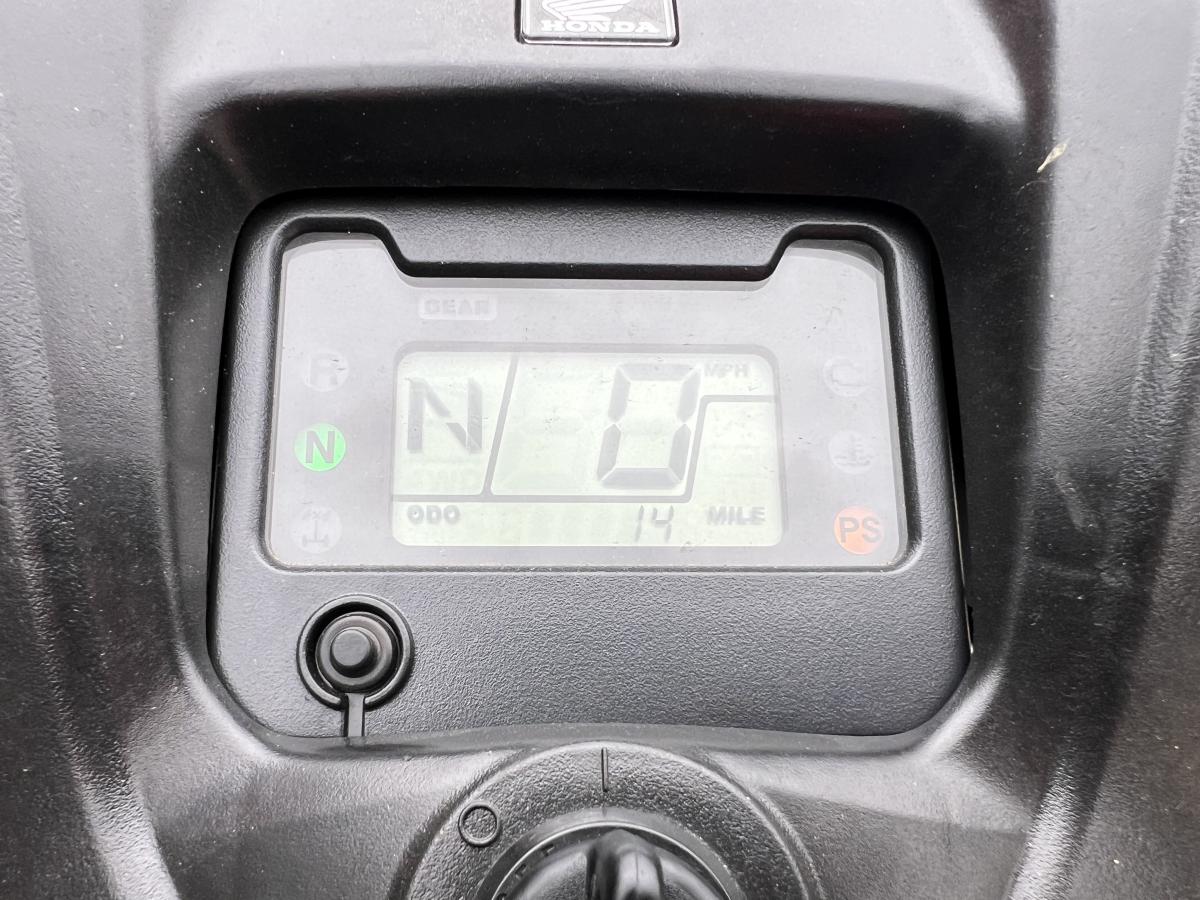231