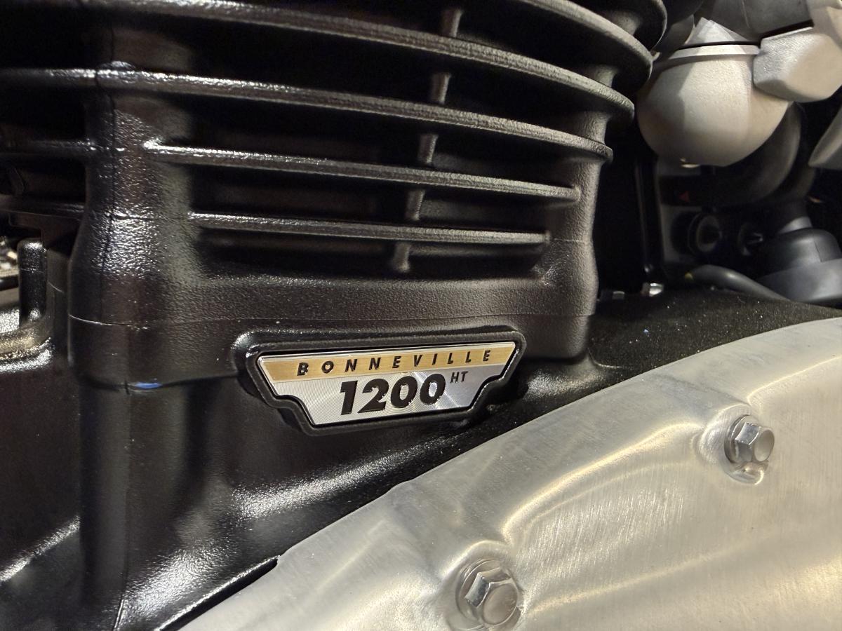 11544